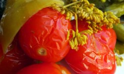 Як заквасити помідори в домашніх умовах (у відрі, банках, каструлі): кращі рецепти швидкого приготування, відео