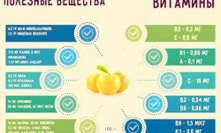 Жовта слива: корисні і шкідливі властивості, опис, характеристика, посадка і догляд