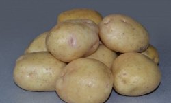 Картопля Невський: опис, характеристика і смакові якості сорту, правила вирощування, фото