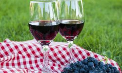 Як зробити вино з чорного винограду в домашніх умовах: прості рецепти приготування, кращі сорти