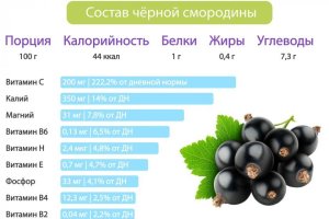 Cмородіна при подагрі: можна чи ні, користь чи шкода, протипоказання