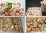 Як і скільки часу можна зберігати свіжі шампіньйони в холодильнику і морозильній камері, терміни зберігання