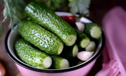 Малосольні огірки: рецепти з покрокове приготування, відео