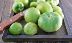Зелені помідори: користь і шкода для організму, хімічний склад і калорійність, фото