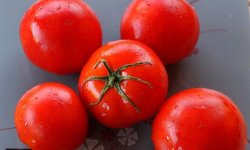 Томат &laquo;Палка&raquo;: характеристика і опис сорту, фото, врожайність, посадка і догляд, відгуки