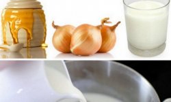 Молоко з цибулею від кашлю: як допомагає, рецепти, особливості використання
