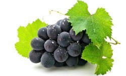 Виноград це ягода або фрукт — як правильно називати, опис і особливості