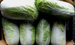 Як зберегти пекінську капусту на зиму: підготовка, основні методи