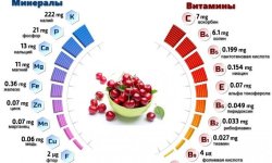 Листя вишні: корисні властивості та протипоказання, можливу шкоду, як вживати
