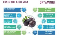 Чи можна їсти сливу при цукровому діабеті 1 і 2 типу: користь і шкода, основні правила вживання