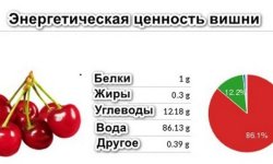 Користь і шкода вишні для здоров’я жінки: особливості вживання, можливі протипоказання