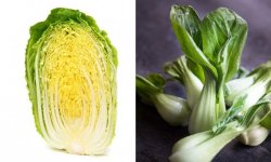 Китайська капуста: користь і шкода, особливості вживання при хворобах, при грудному вигодовуванні, її калорійність і вітамінний склад