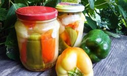 Засолка болгарського перцю: способи засолювання, кращі рецепти з покроковим приготуванням, фото, відео