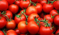 Як засолити помідори в пакеті: швидкий рецепт, покрокова інструкція приготування