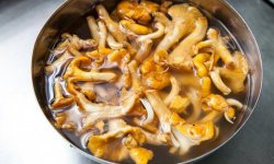 Чи потрібно варити гриби лисички: скільки варяться, як відварити, перед смаженням, до готовності, в супі