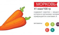 Морквяний сік: корисні властивості та протипоказання, особливості застосування