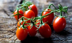 Вживання помідорів: користь і шкода для організму чоловіки й жінки, особливості та протипоказання