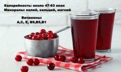 Вишневий сік: хімічний склад і калорійність, користь і шкода, особливості застосування