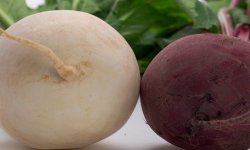Маринована ріпа на зиму: кращі рецепти з покроковим приготуванням, фото