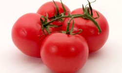 Томат Загадка: характеристика і опис, врожайність сорту, особливості посіву, вирощування і догляду, фото