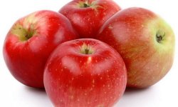Яблуня Прима: опис і характеристика, особливості вирощування та догляду, фото