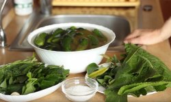 Солоні огірки в каструлі на зиму: кращі рецепти, покрокове приготування з фото
