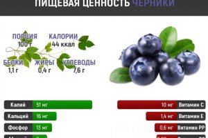 Чорниця проносить або зміцнює стілець: дія свіжої чорниці або варення з неї на кишечник дорослого і дитини