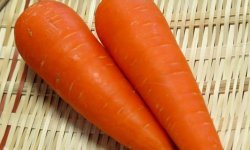 Ранні сорти моркви: ТОП-11 сортів і їх опис, вирощування і догляд у відкритому грунті, фото