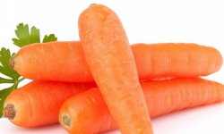 Як правильно зберігати моркву в домашніх умовах в квартирі: особливості, способи і правила зберігання врожаю моркви