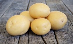 Сорт картоплі Агата: ботанічний опис та характеристика, плюси і мінуси, агротехніка вирощування і догляд, фото