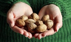 Скільки волоських горіхів потрібно і можна з’їдати в день, користь і шкода для чоловіків і жінок