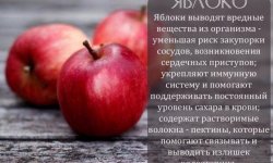 Калорійність яблук: скільки калорій в 1шт, в 100 грам, детальний хімічний склад яблук, скільки ккал в зелених і червоних
