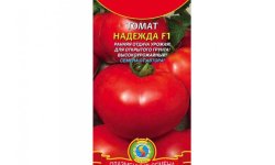 Томат Надія F1: характеристика і опис сорту, фото, врожайність, посадка і догляд