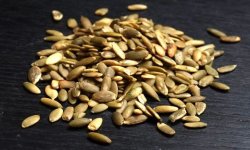Гарбузове насіння для чоловіків: користь і шкода, як приймати від простатиту