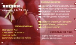 Заморожена вишня: користь і шкода, хімічний склад і калорійність, сфери застосування