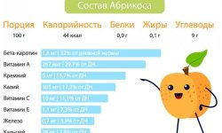 Чи можна абрикоси при грудному вигодовуванні: корисні і шкідливі властивості, особливості вживання
