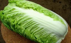 Китайська капуста: опис і характеристика, вирощування і догляд, фото