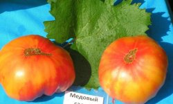 Томат Медовий салют: опис і характеристика сорту, врожайність, вирощування і догляд, фото