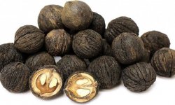 Шкаралупа чорного горіха: властивості і застосування, протипоказання, користь і шкода