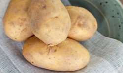 Картопля Велетень: опис і характеристика сорту, особливості вирощування та догляду, фото