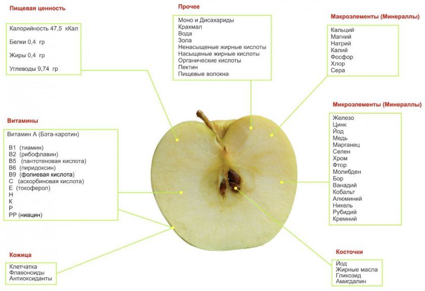 Хімічний і вітамінний склад яблук