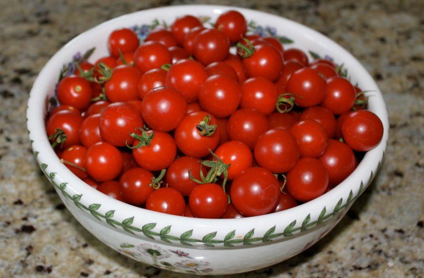 Вибір і підготовка помідорів чері