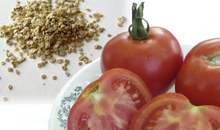 насіння томатів