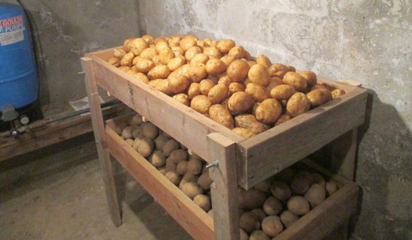 Зберігання картоплі в підвалі