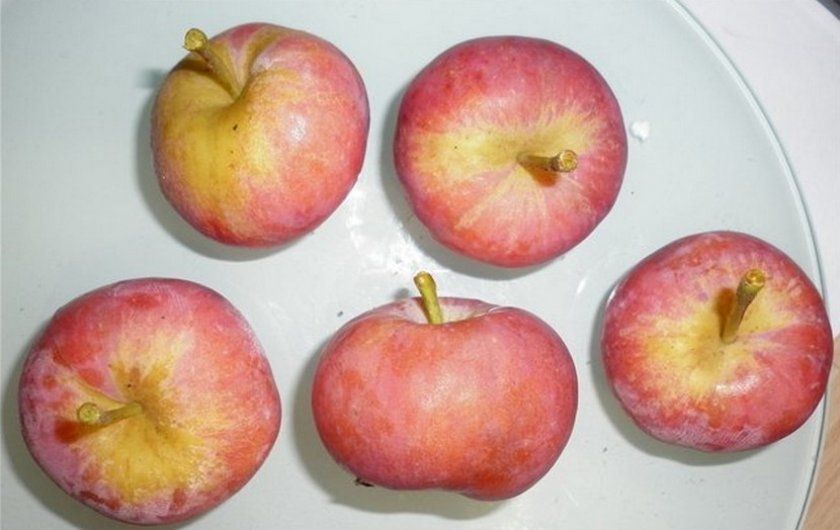Сорт яблони белорусское фото и описание сладкое
