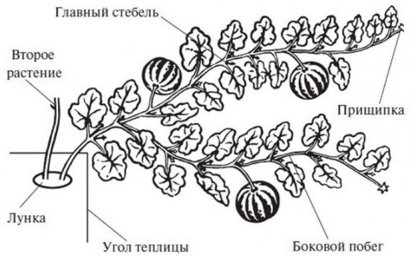 Технологія виконання робіт