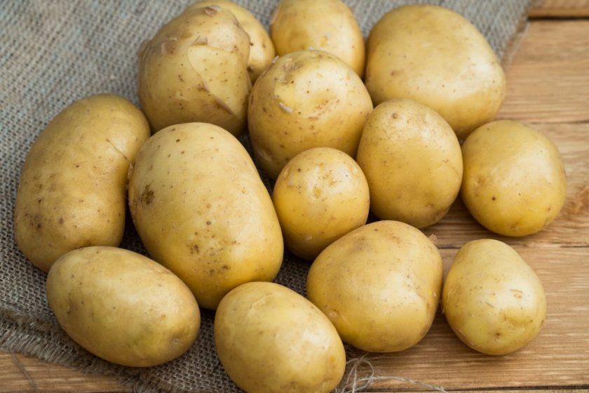 Посадка і вирощування сорти картоплі