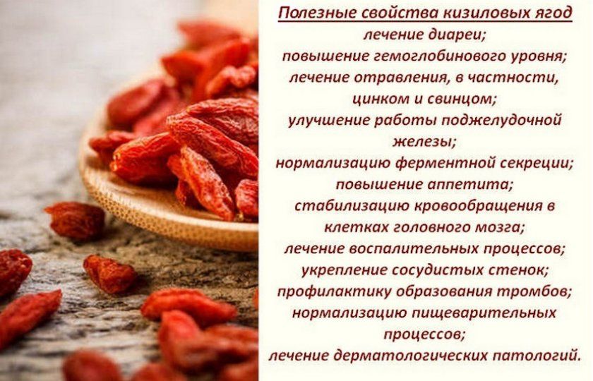 Властивості ягід кизилу