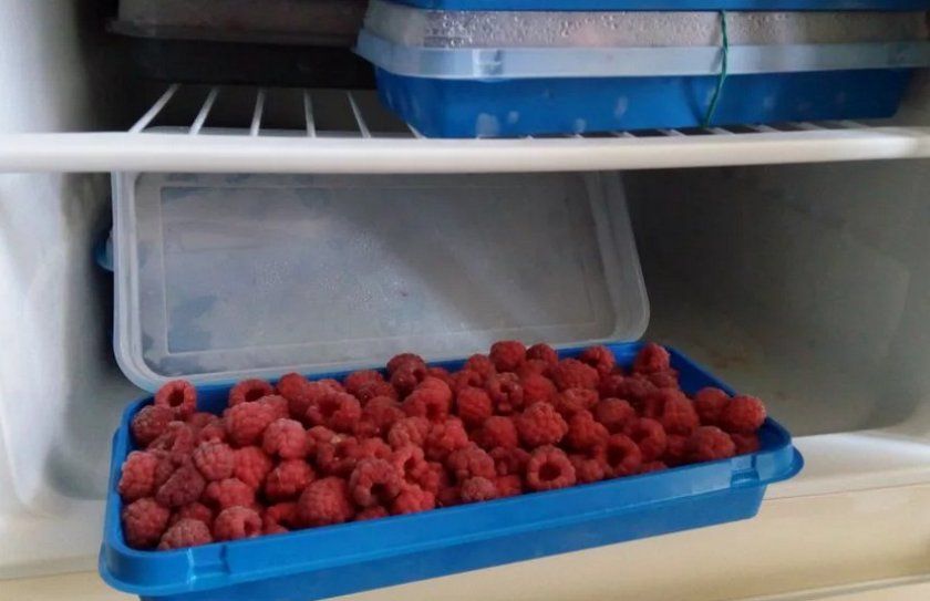 Зберігання малини в холодильнику
