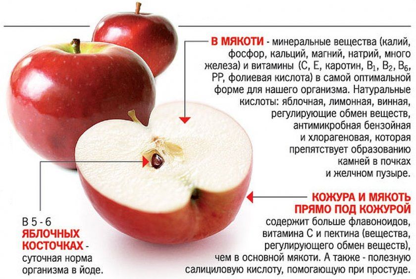 склад яблука